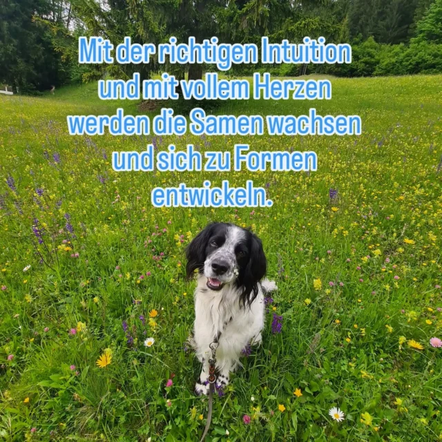 Ich begleite dich vom ersten Keimen deiner Idee bis zur Realisierung deines Projekts. 

👉 Bist du bereit für Veränderung auf Augenhöhe?

Dann lass uns sprechen. Der erste Schritt beginnt jetzt.

📩 Nachricht genügt.

#ChristinaConcept #projectmanagement #Wachstum #CoachingImpulse #InnereStärke #Achtsamkeit